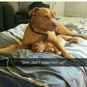 Meet your Posher, Dee